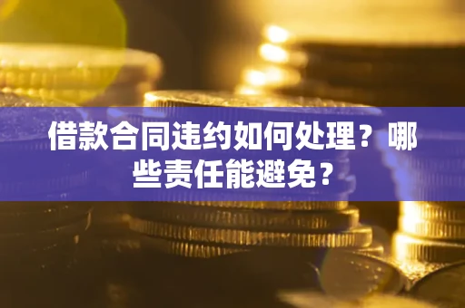 武汉借款合同违约如何处理？哪些责任能避免？